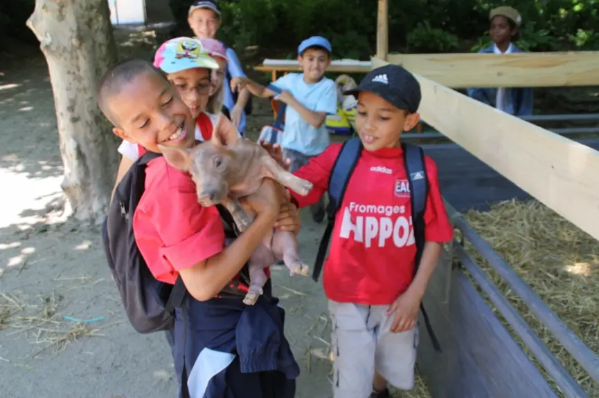 Un bébé cochon dans les bras, quelle sensation  et quelle joie pour ces enfants qui vivent en ville !
