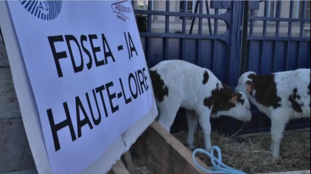 Action du 13 janvier devant la préfecture de Haute-Loire
