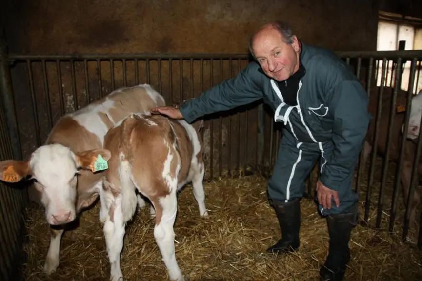 Michel Ramousse, président de la coopérative des Veaux des Monts du Velay-Forez, a contribué 
à l’émergence de cette filière de qualité en Haute-Loir