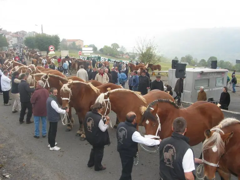 Notez les dates et lieux des concours 2009.
