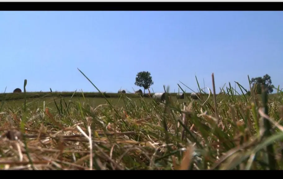 Capture d'une vidéo HLP