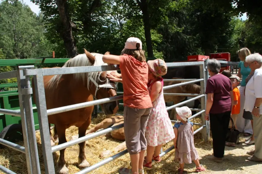 Des chevaux aussi…