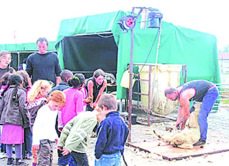 Lors de la première édition de Ferme en ville.