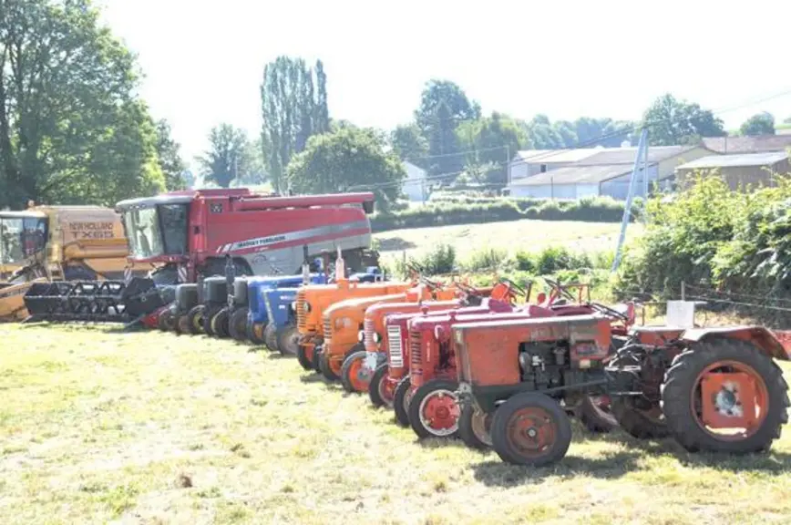 Le comice agricole a rassemblé de nombreux éleveurs du canton avec une bonne trentaine d'ovins, une vingtaine de bovins ainsi qu'une dizaine de chevau