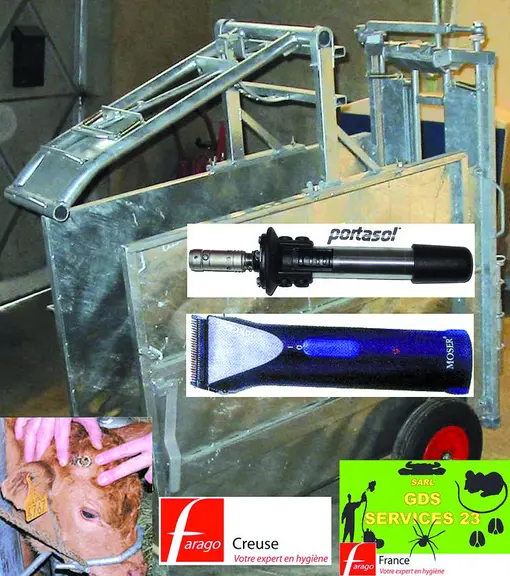 L’écornage des veaux est appeler à se développer d’où la mise à disposition par GDS Services 23 (Farago Creuse) d’informations sur la technique (pour