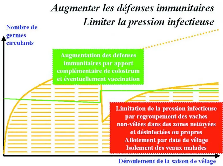 La présence de diarrhées en nombre signe la présence d’un déséquilibre « agents infectieux/défenses immunitaires » important. Cela implique de rétabli