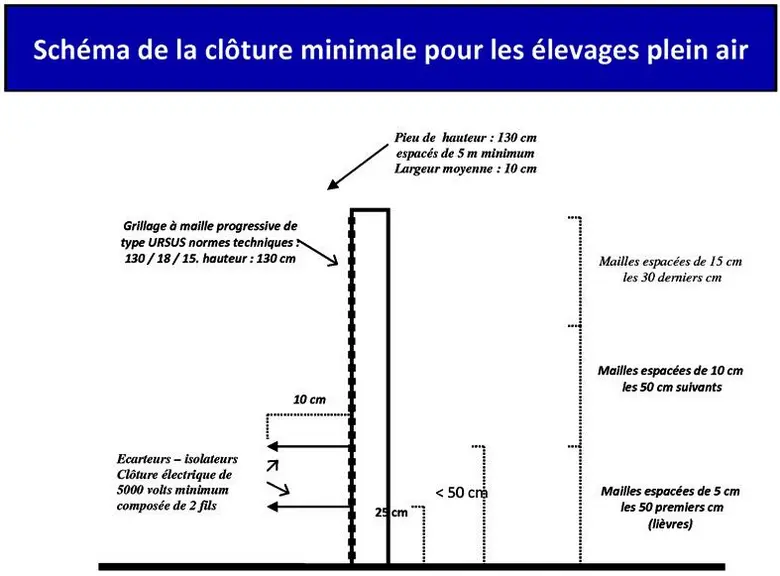 Le suivi de la faune sauvage confirme la poursuite de la circulation de la brucellose porcine chez les sangliers, d’où l’importance du respect des mes