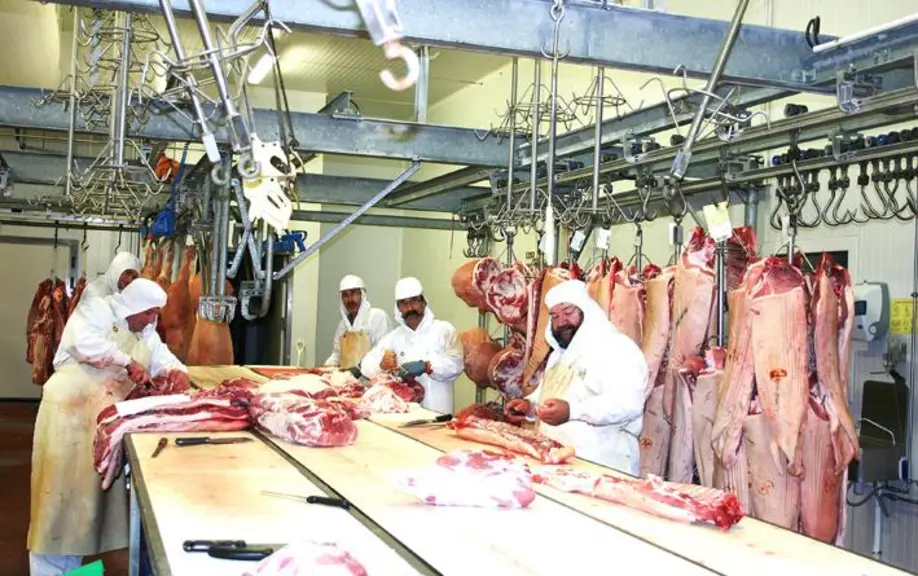 Les porcs de montagne sont découpés et transformés à Volvic avec Porcentre (photo) et à Aurillac avec Cantal Salaisons.