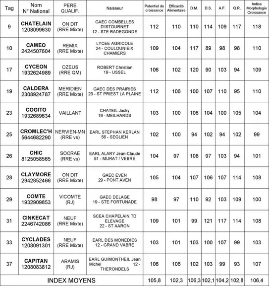 Les 12 taureaux disponibles.