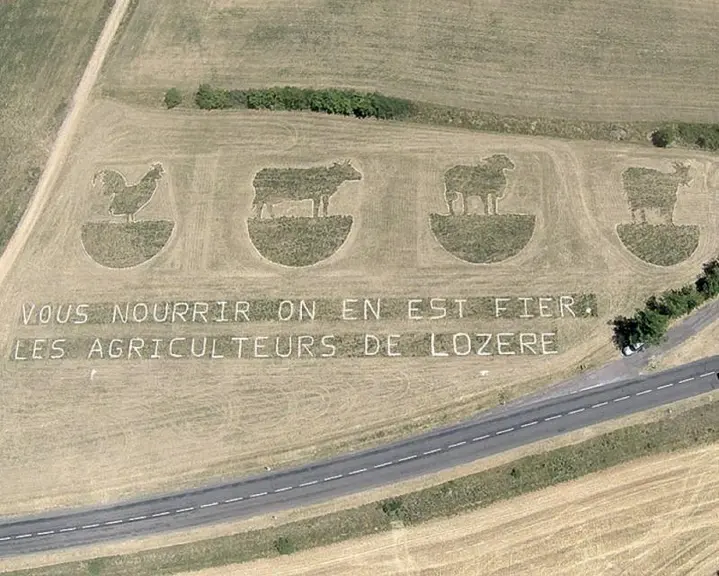Un coq, une vache, une brebis et une chèvre sont apparus dans le champ d’André Boiral. Une vingtaine d’agriculteurs de la FDSEA ont mis la main à la p