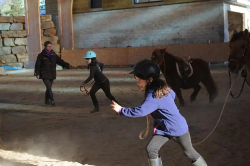 L’équitation éthologique, basée sur l’étude du comportement animal, est une approche du cheval «plus naturelle» et qui nécessite avant tout de passer