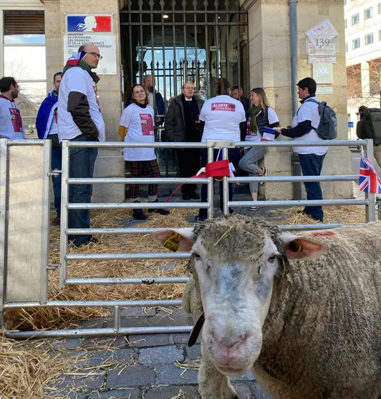 Manifestation des éleveurs d'ovins devant le Ministère de l'économie et des finances.