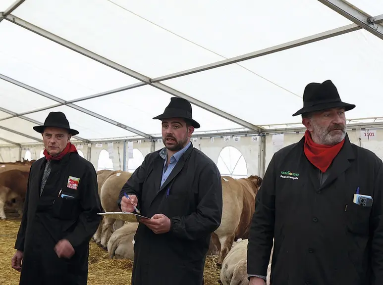 La foire grasse de Langogne attire du monde.
