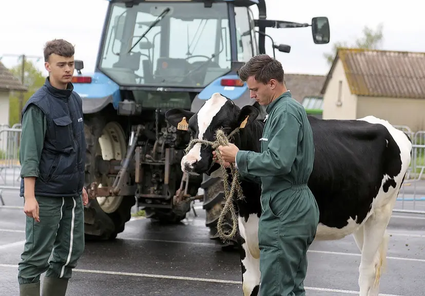 Le concours des jeunes meneurs au lycée agricole de Saint-Chély-d'Apcher.
