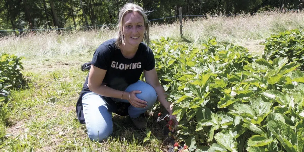 Marion Deltour au milieu de ses fraisiers