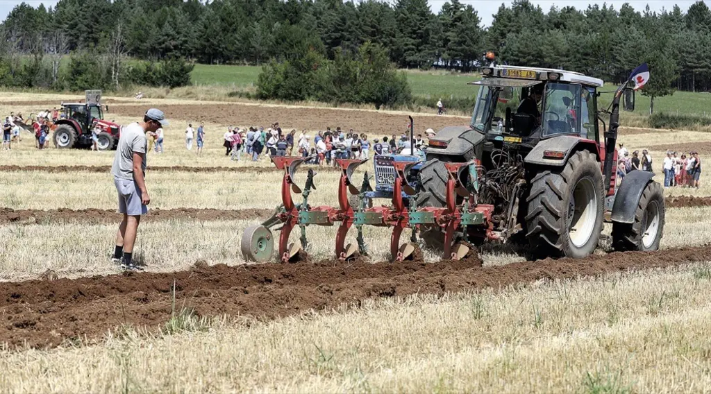 Le concours de labour bat son plein