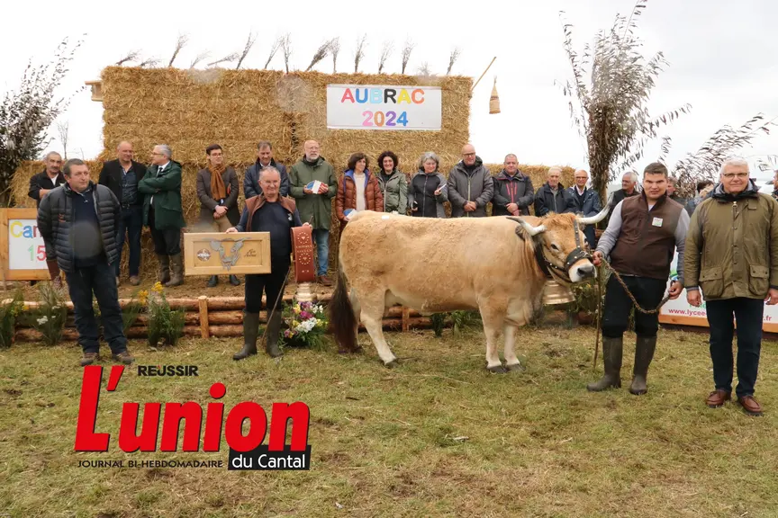 une vache beige au milieu d'un groupe de personnes