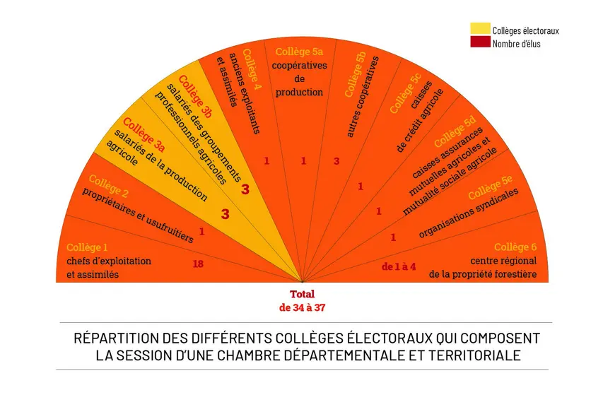 Schéma de la répartition des différents collèges électoraux qui composent la session d'une chambre d'agriculture départementale et territoriale.