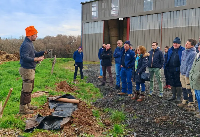 un groupe suit les conseils d'un spécialiste qui tient un plant de haie dans la main