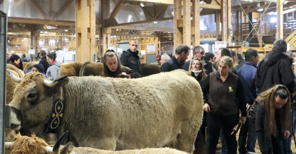 La sélection Aubrac à la grande halle d'Aumont-Aubrac