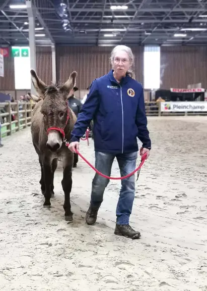 un homme tient son âne à l'aide d'une longe