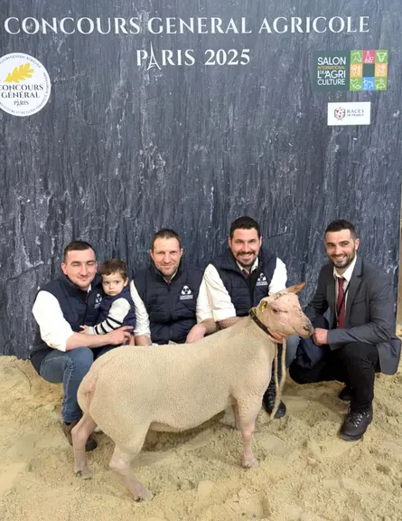 4 hommes et un enfant derrière un mouton