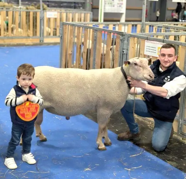 1 homme et 1 enfant avec un mouton