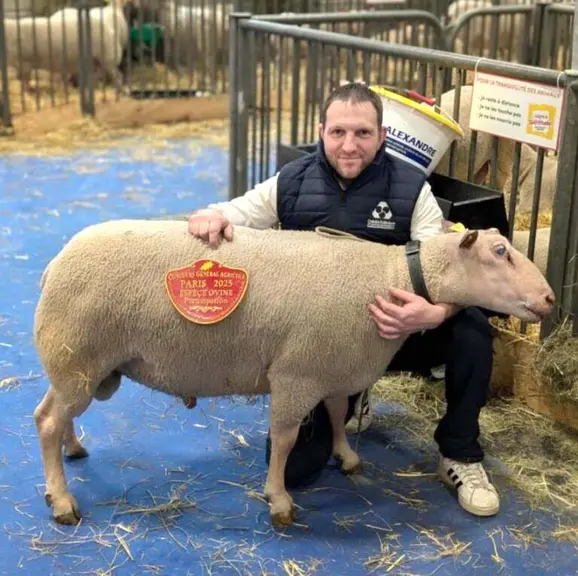 1 homme et son mouton