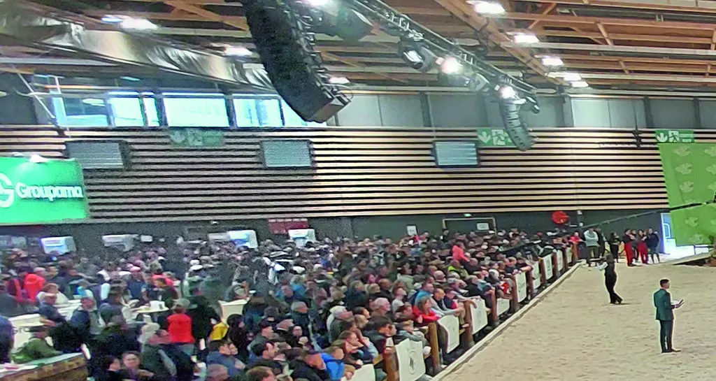 Vue des tribunes sur la piste où se déroulait les différents concours de Vaches en Piste.
