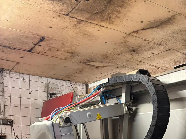Robot de traite en action sur une vache.