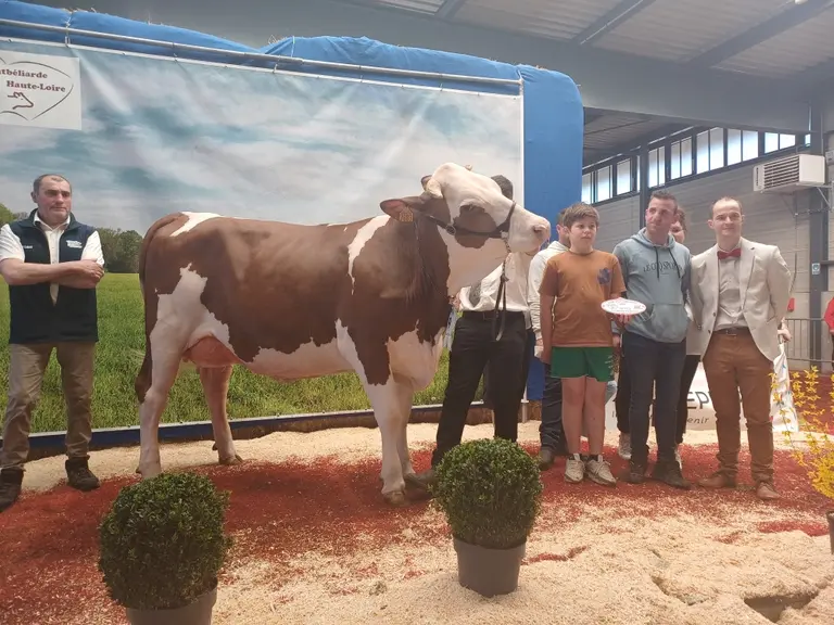 Tily Star du Gaec des Boudoux