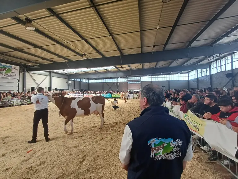 La Miss fut l'occasion d'annoncer Le Puy des Montbéliardes, rebaptisé Le Puy des Championnes par le juge du concours.
