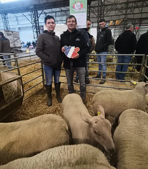 un homme et une femme derrière des moutons