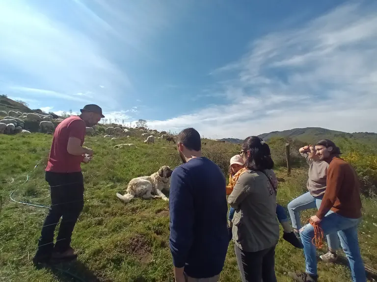 Ferme ovine