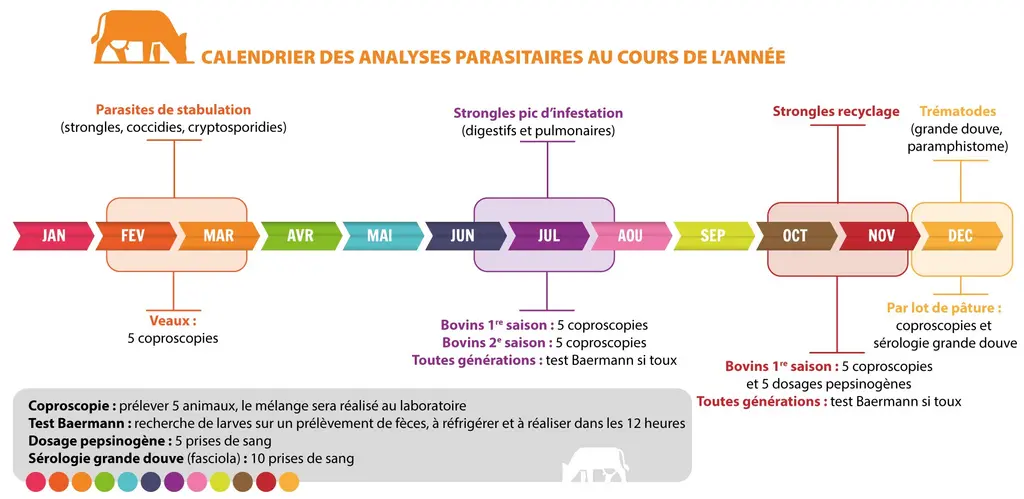 calendrier des analyses par coprologie