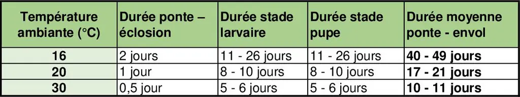 La durée du cycle est étroitement liée à la température ambiante, plus il fait chaud, plus la dynamique de contamination s’accélère.