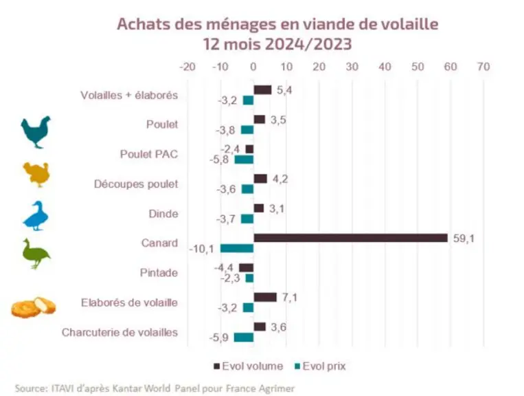 En 2024, les achats de volailles sont en hausse de +5,4 % en volume vs 2023, après une hausse de de +1,8 % en 2023 vs 2022.