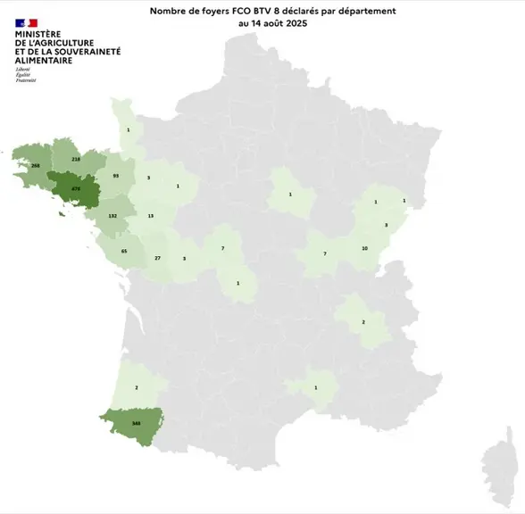 Comme attendu, on observe une recrudescence des foyers de FCO 3 et 8, y compris en Creuse. Pour la DNC, on compte 75 foyers dans 40 élevages au 18/08/