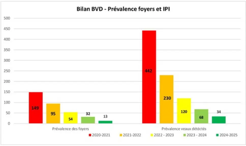 Graphique montrant l'évolution à la baisse des foyers et des veaux détectés en Creuse sur 5 ans.
