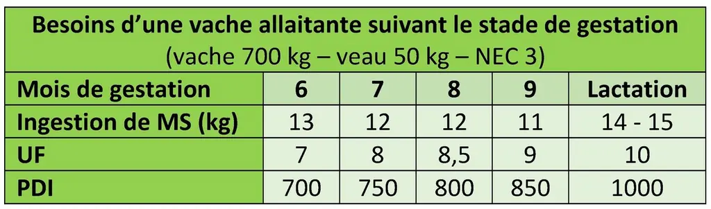 Les besoins sont maximums en fin de gestation et début de lactation, mais la capacité d’ingestion est réduite avant vêlage. C’est la période où il fau