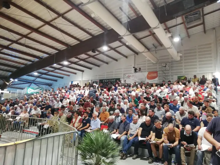 Affluence record pour la 47ème vente