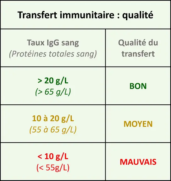 Un bon transfert immunitaire est gage de bonne santé pour le veau. S’il est insuffisant, l’éleveur sera amené à analyser les causes possibles : prise