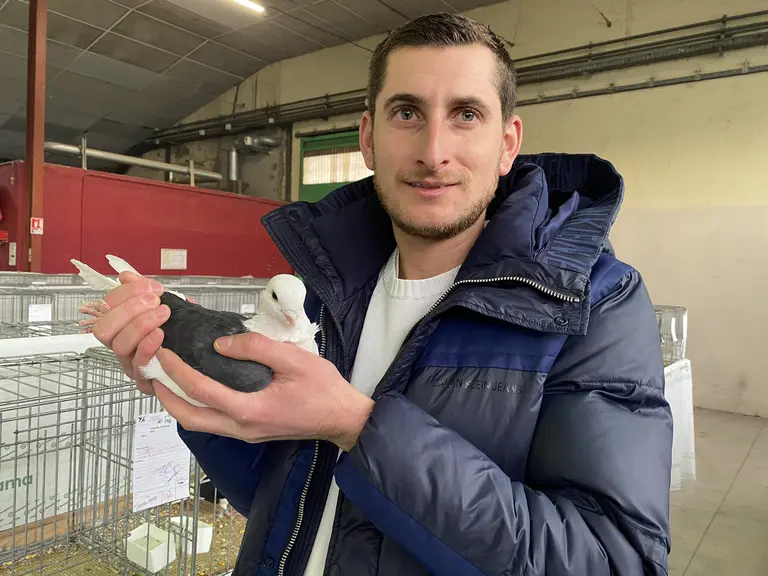 Le président de l'Union Avicole Bourbonnaise tient en main un pigeon cravaté français.