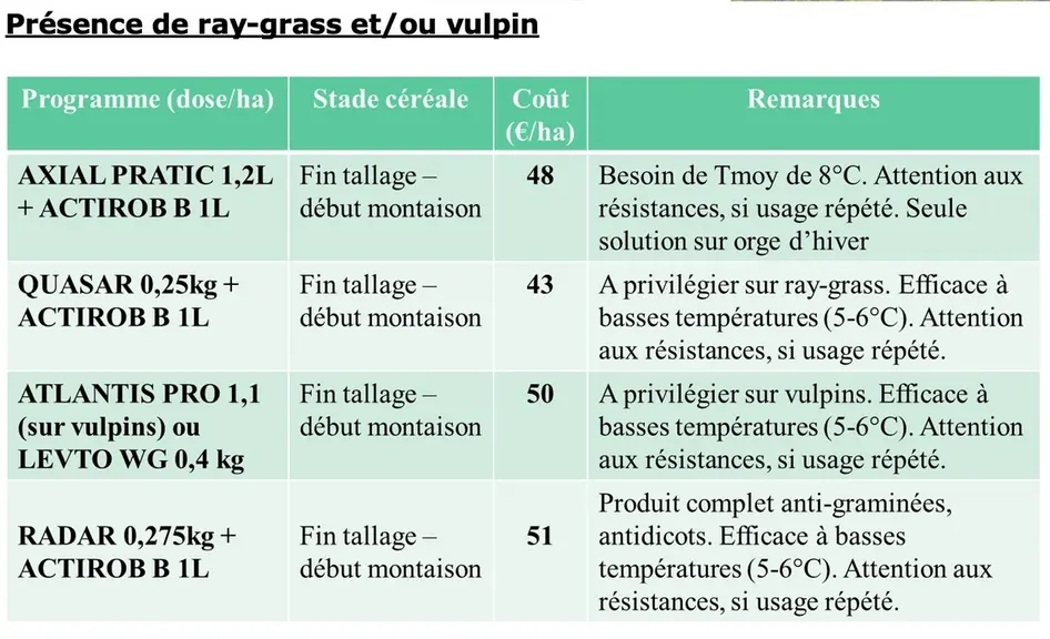 Attention, sur orge d’hiver seul AXIAL PRATIC peut être utilisé. Les autres herbicides antigraminées ci-dessus ne sont pas sélectifs de l’orge !