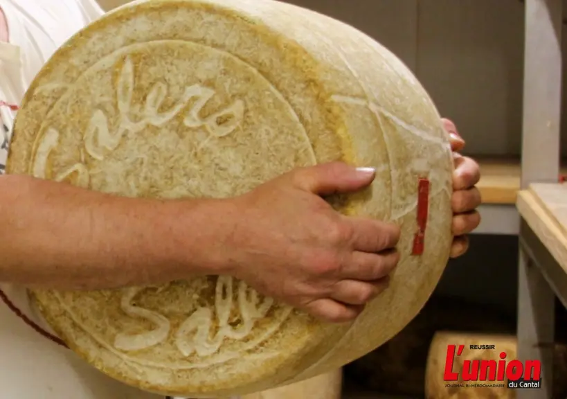 Fourme d'AOP salers dans les bras d'un producteur
