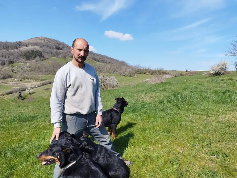 éleveur avec ses beaucerons