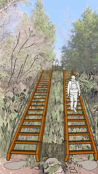 Certaines parties du sentier grimpant au sommet du du puy de La Vache et de Lassolas ont été dépouillés de leurs escaliers et accueilleront des échelles de meunier pour réduire l'érosion du sol.  