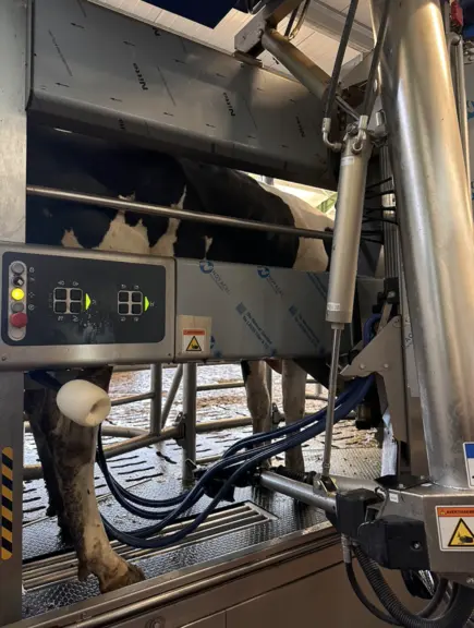 Robot de traite automatisé