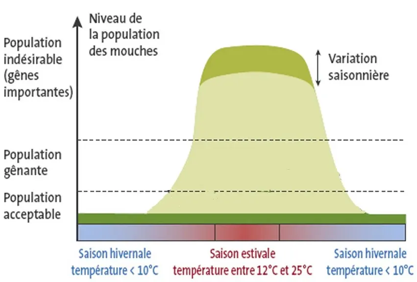La capacité de multiplication des mouches étant considérable, une fois déclenché, le processus d’infestation est exponentiel. La réussite du plan de g