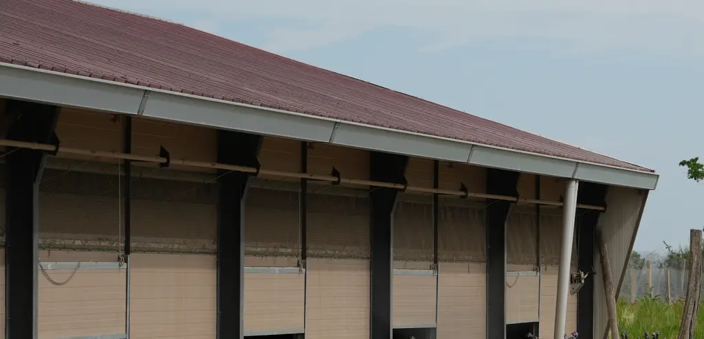 Poulaillers de l'exploitation d'Aurélien Lafoucrière, éleveur de pintades Label Rouge et de poulets du bourbonnais dans l'Allier.